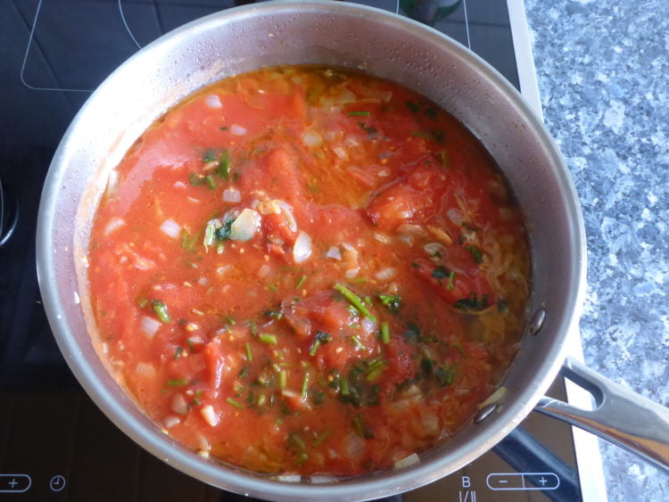 Chicken With Tomato Sauce Recipe Ester kocht