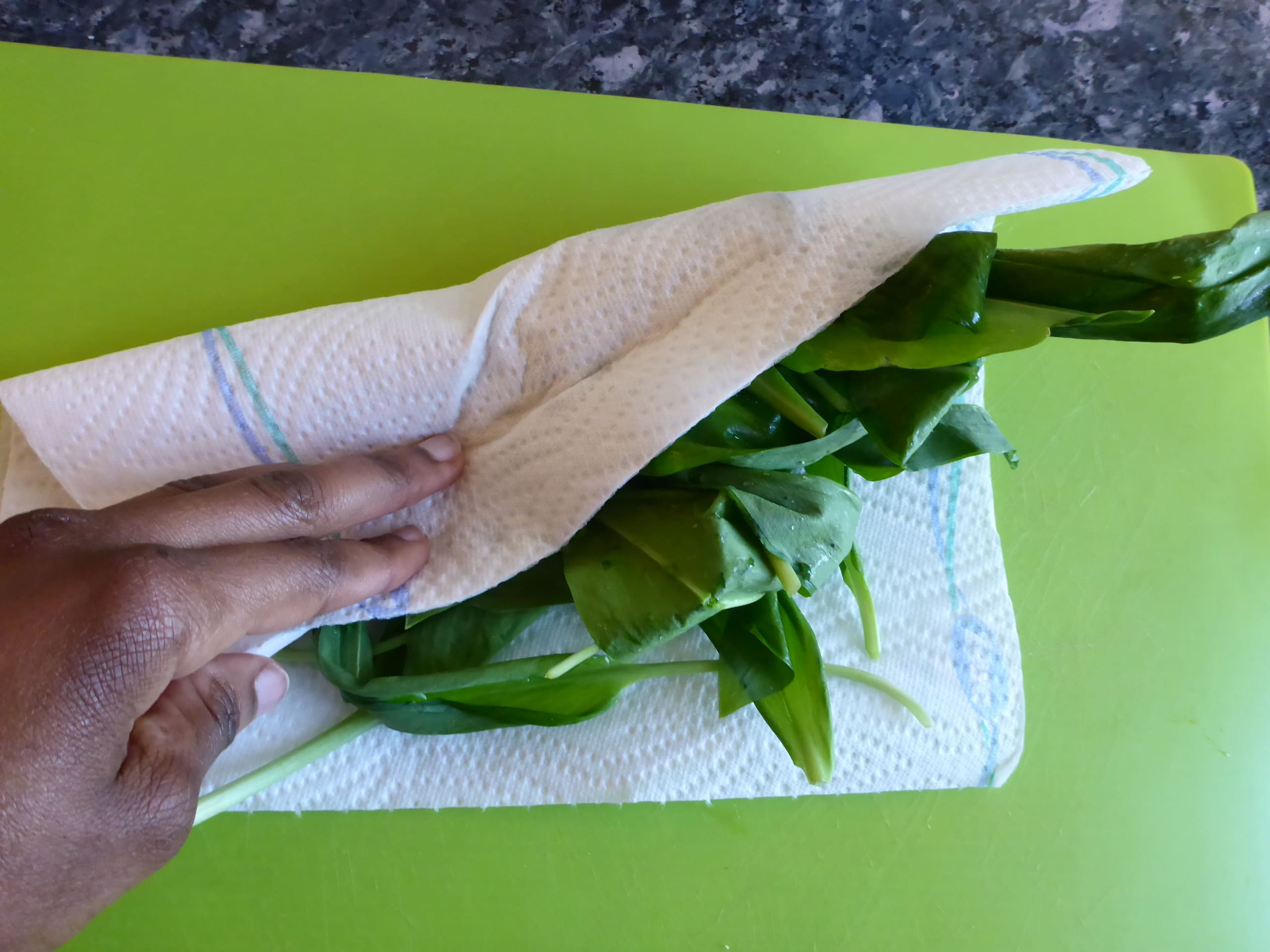 Drying Cleaned Wild Garlic Leaves with Paper Towels to Remove Excess Water.