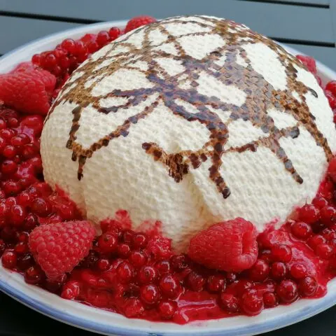 Best Yogurt Cream Dessert With Berries