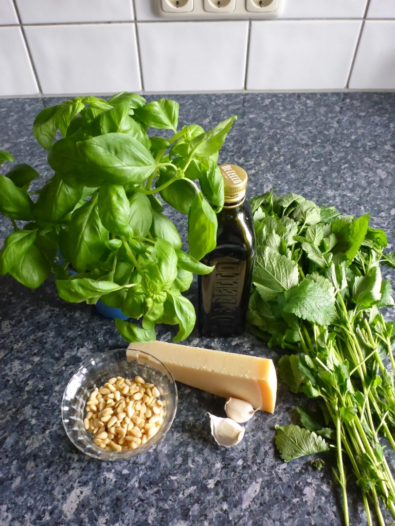 Lemon Balm Pesto - Ester kocht Lemon Balm Pesto - Ester kocht
