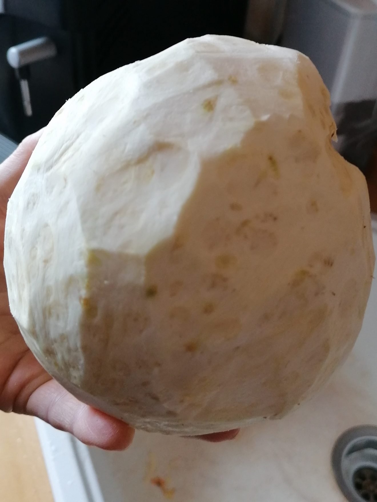 Celeriac Schnitzel Ester kocht