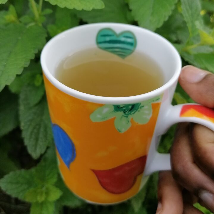 Zitronenmelisse Tee