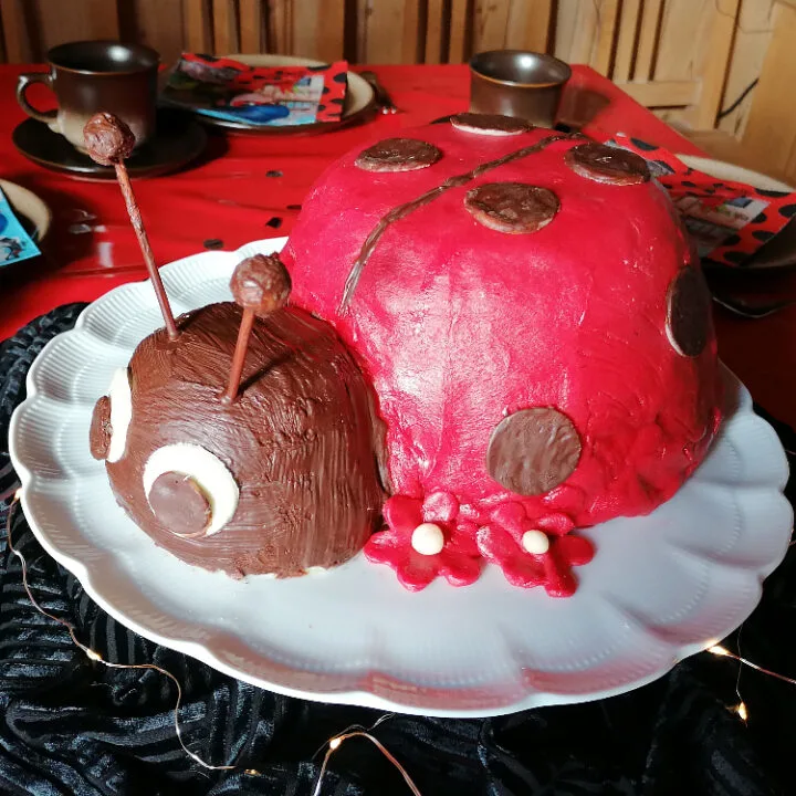 Traumhafte Marienkäfer 3 D Torte mit Himbeer- Sahne Füllung.