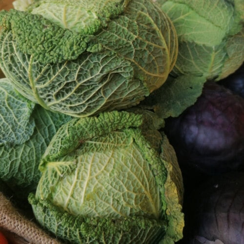 German Savoy Cabbage Puree (Wirsing) Ester kocht