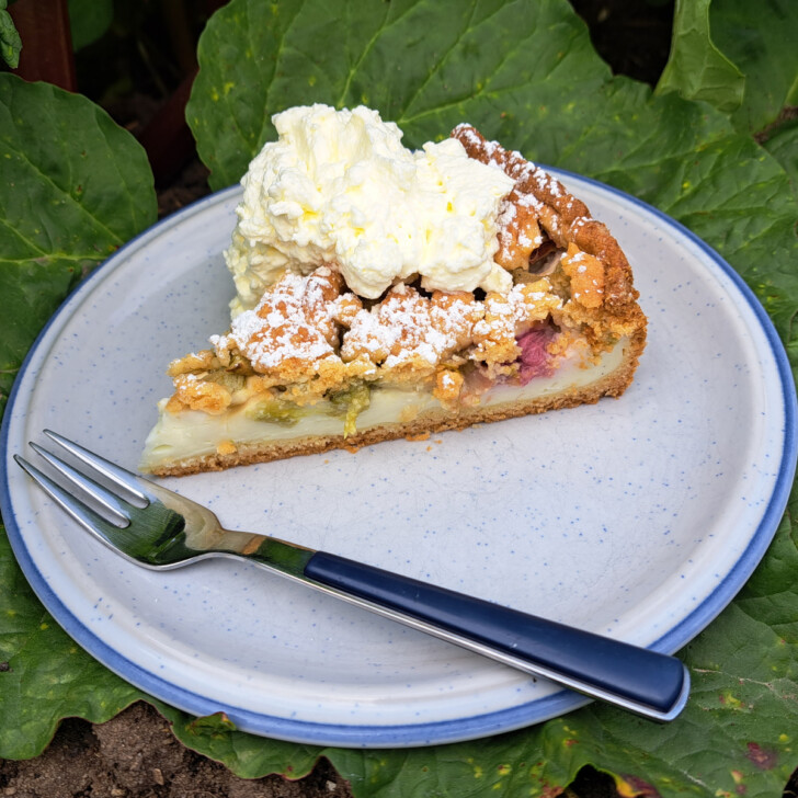 Rhubarb cake topped with whipped cream, served on a plate with rhubarb leaves as a natural table.