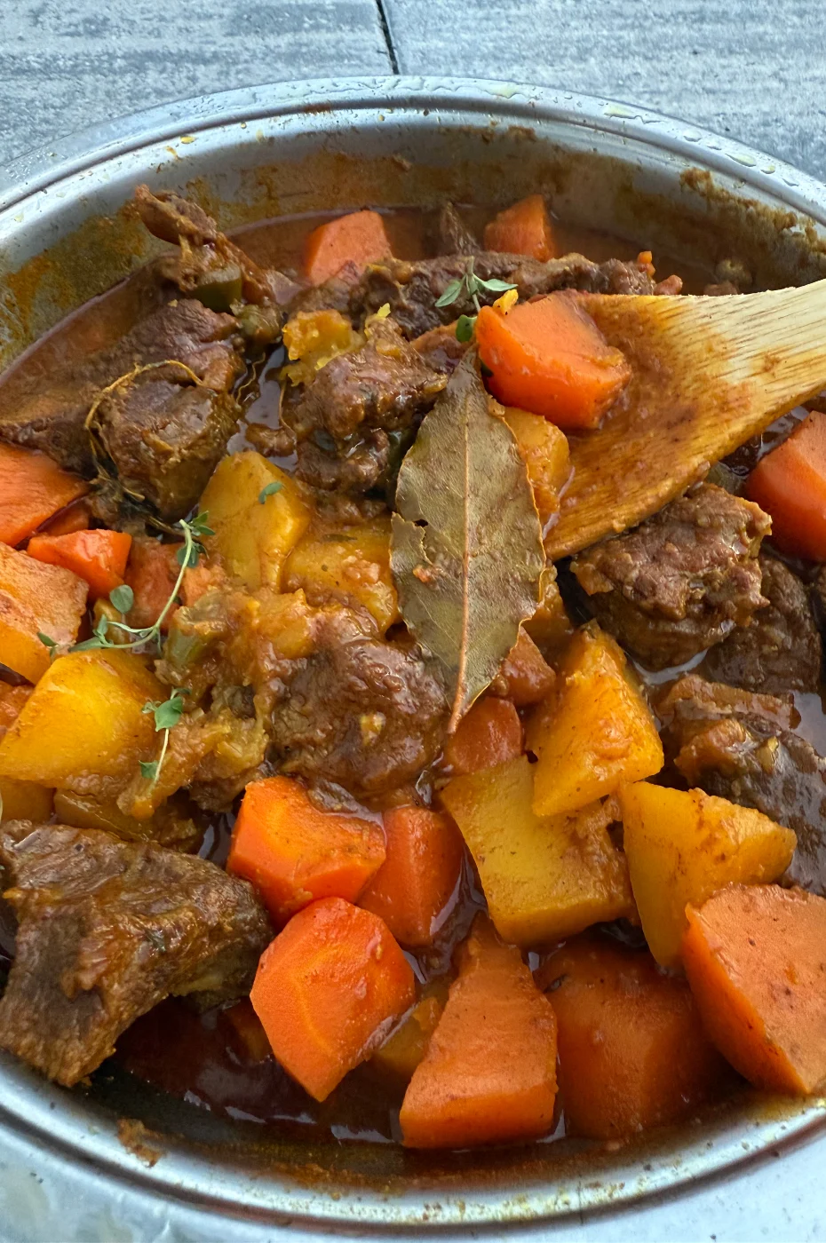 Buntes, frisch gekochtes namibisches geschmortes Rindfleisch mit Gemüse im Topf, minimal mit frischem Thymian garniert, zartes Fleisch und aromatische Soße – einladendes afrikanisches Soulfood.