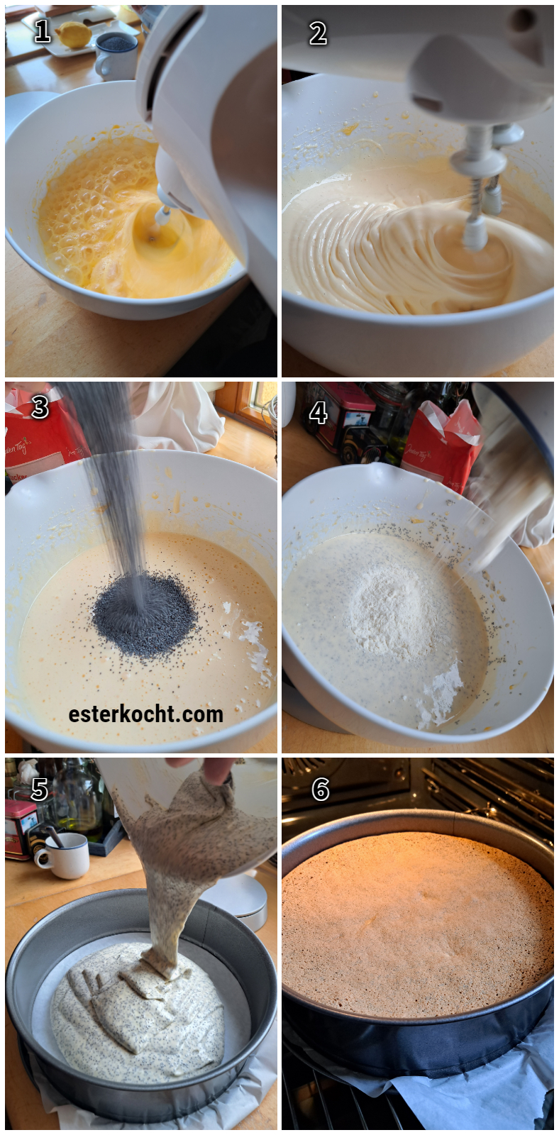 Preparing sponge cake layers with whole poppy seeds for German poppy seed cake